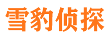 兴隆台市调查公司